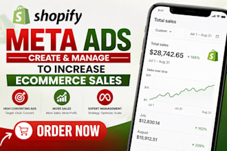 setup and run  shopify promotion to boost shopify sales