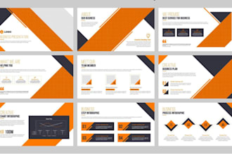 provide professional assignment and presentation
