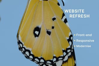 improve and refresh your existing website