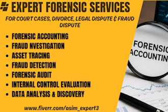 forensic accounting, fraud investigation and assets tracing