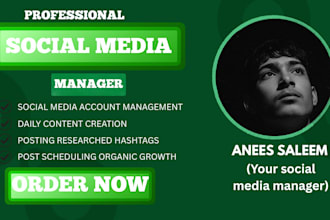 run high converting facebook ad campaigns and fb ads management