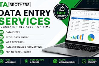do accurate data entry , excel and web research