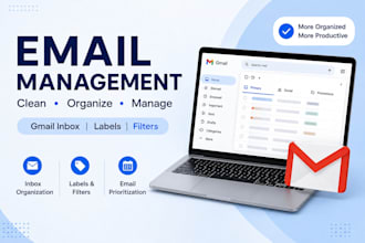 manage and organize your gmail inbox professionally