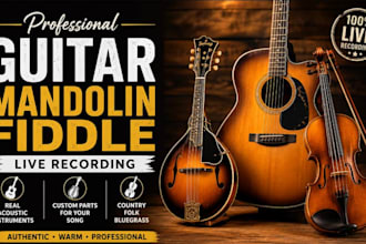 record guitar, loar mandolin and amati fiddle for your song