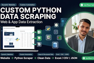 automate custom data extraction with python