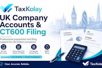 prepare and file UK company accounts and ct600
