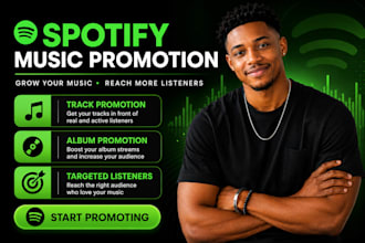 professional spotify music promotion, spotify album promotion with ads campaigns