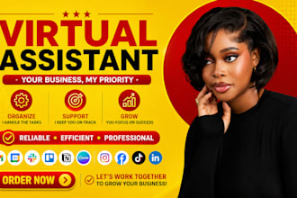 personal executive virtual assistant instagram assistant ghl VA email manager