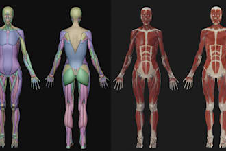 do 3d medical models sculptures 3d printing anatomy stl models manufacturing