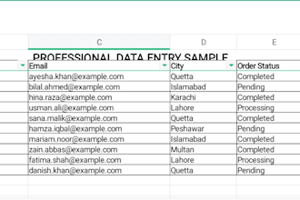 do ms word typing, editing and professional formatting