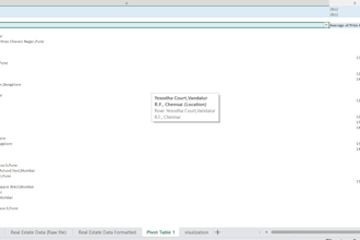 create pivot table ,  format , clean data , visualization