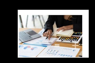 do professional bookkeeping, accounts payable and excel accounting tasks