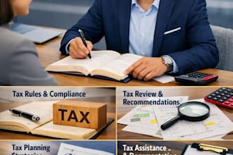 provide tax consultation for individual and corporate