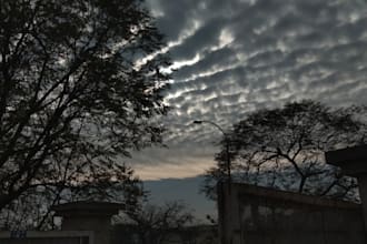 provide professional nature and landscape photographs
