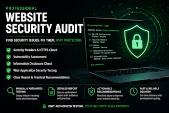 perform a basic website security audit