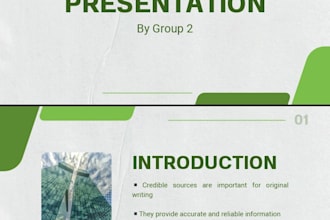 design stunning canva presentation and powerpoint slides