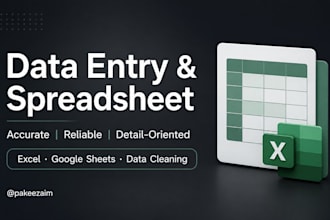 accurate data entry and excel spreadsheet work