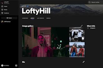 optimize your spotify for artists profile with SEO and bio