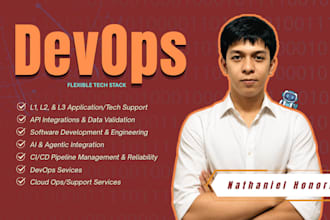 provide professional devops services