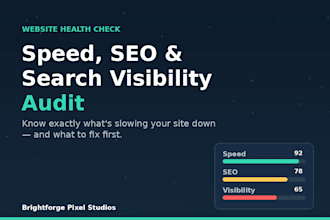 do a website speed, SEO, and search visibility audit
