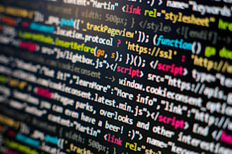 vibe code a professional service for you