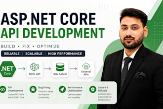 develop fix or optimize your asp dotnet core API backend