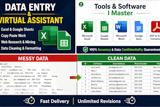 be your virtual assistant for data entry and web research