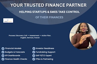 build a financial model, budget and KPI dashboard for saas or startup