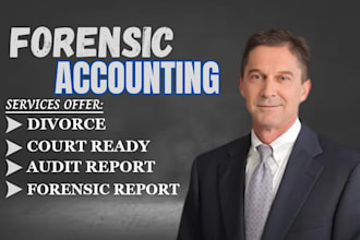 perform forensic accounting for divorce, fraud, legal disputes, audits