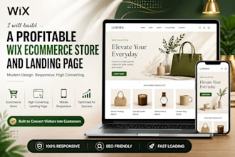 build a profitale wix ecommerce store and wix landing page