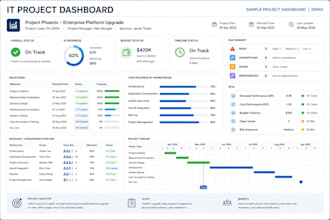 create a professional project plan, tracker and raid log