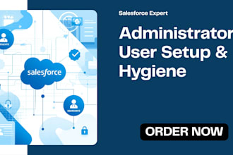 salesforce administrator user setup permission sets data cleanup hygiene flow