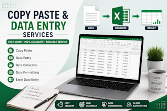 professional data entry excel and processing