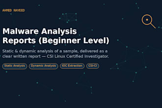 write a beginner level malware analysis report on a sample