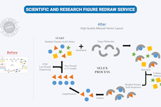 manually redraw scientific diagrams and research figures to vector