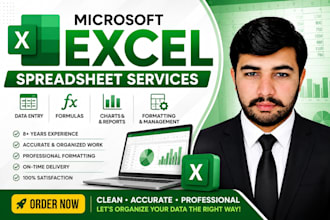 create, format and manage professional microsoft excel spreadsheets