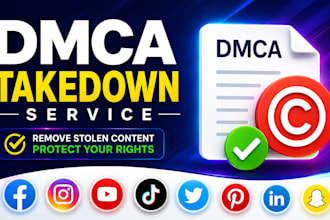 provide professional dmca takedown service for stolen content