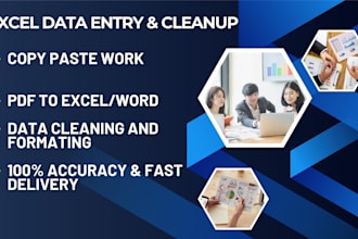 do accurate excel data entry, copy paste, and PDF conversion