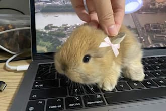 be your friendly gaming buddy or we can just chat