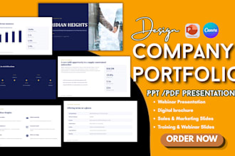 do company portfolio profile, pdf presentation digital brochure pitch deck PPT