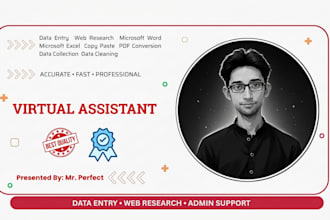 be your virtual assistant for data entry and research
