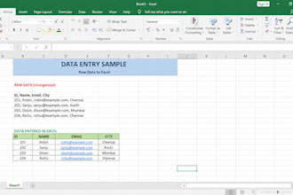 do accurate transcription,typing,and data entry