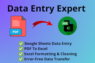convert pdf to excel data entry with accuracy