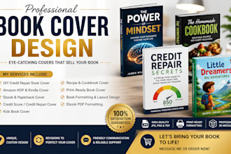 design DIY credit repair ebook cover amazon KDP ebook or paperback book cover