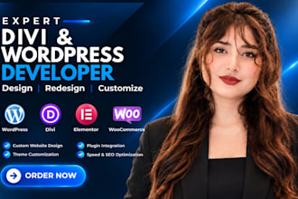 build a professional divi wordpress website