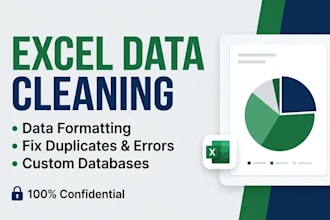 do excel data cleaning, formatting, and organization