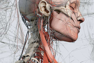 design custom medical vector artwork