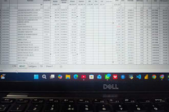 do microsoft excel data entry, formatting, formulas