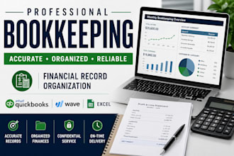 provide professional bookkeeping and financial record organization