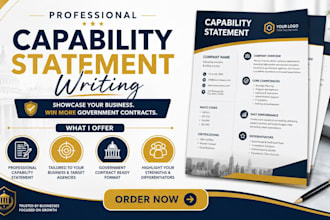 write professional government capacity statement proposal and bids